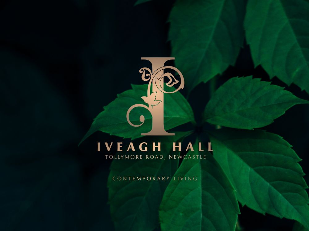 Iveagh Hall